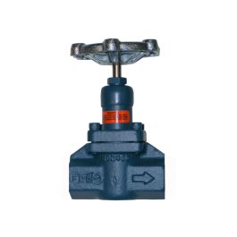 RS XGT0050TSBHN, 1/2 FPT, GLOBE-T, EXP, HW